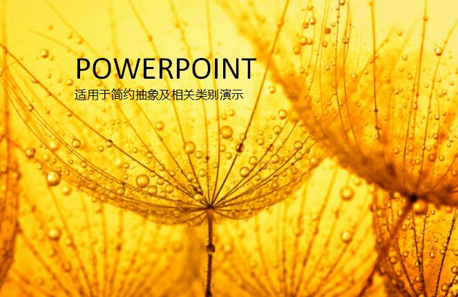 QQ截图20161126184825.jpg