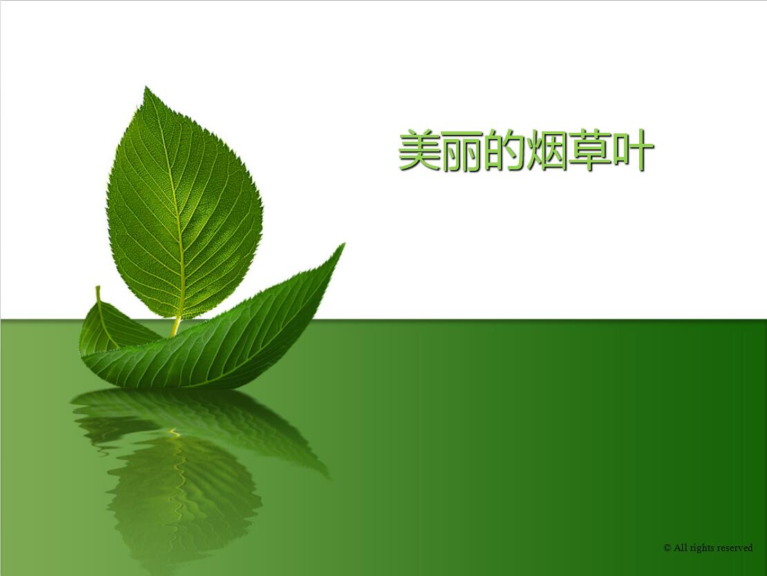 QQ截图20170111095031.jpg