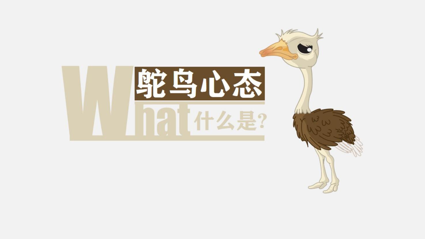 QQ截图20170206115923.jpg