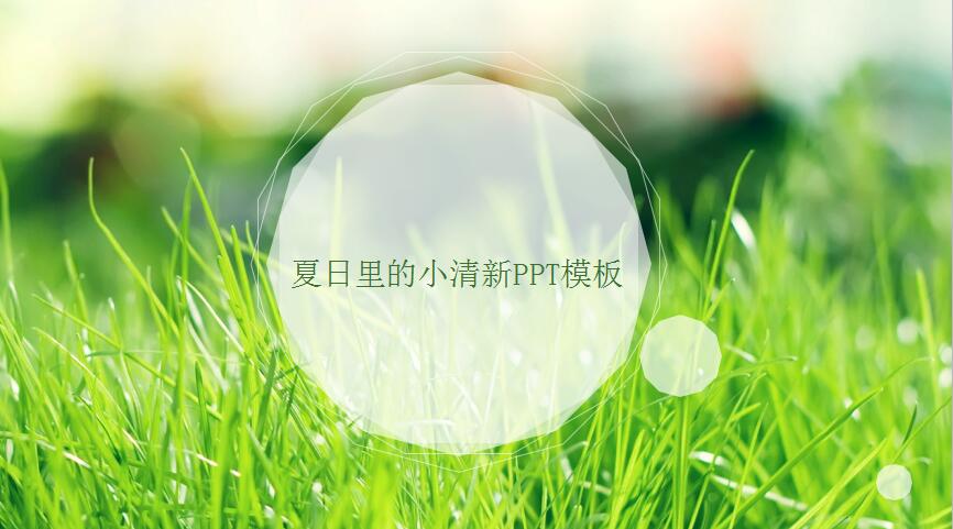 qq截图12121.jpg