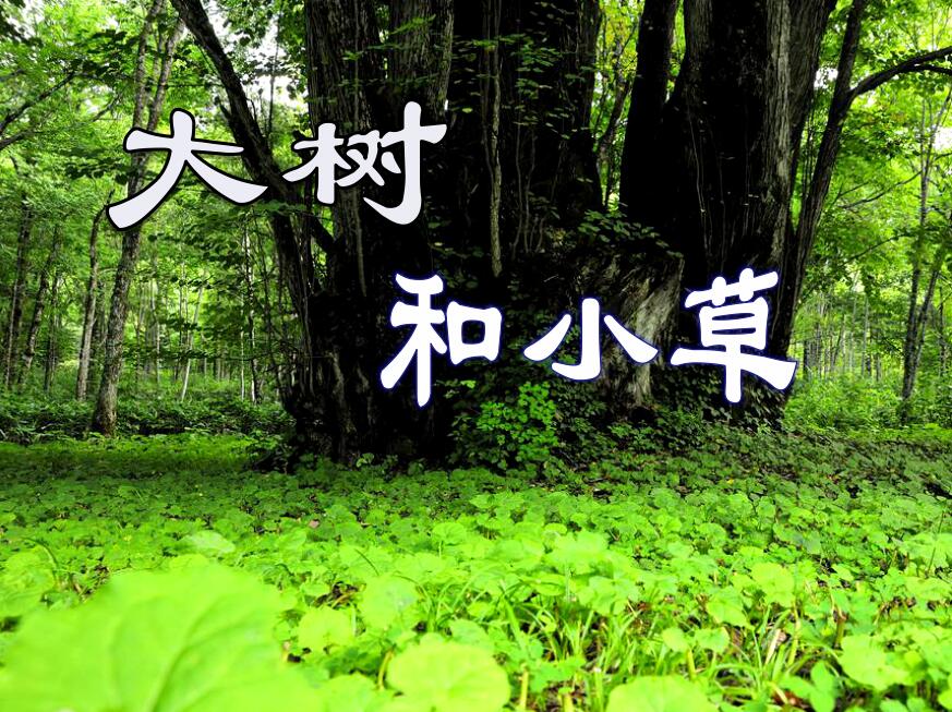 QQ截图20170405094811.jpg