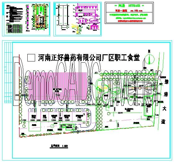 厂区职工食堂建筑施工图及总平面图