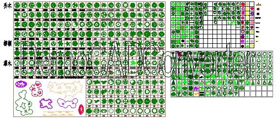 平面、立面、模纹树素CAD材库CAD图纸
