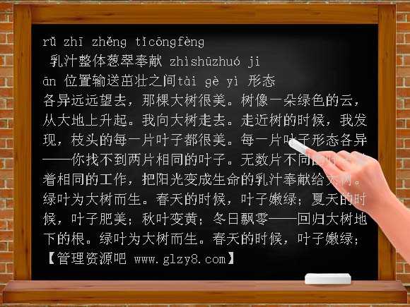 做一片美的叶子PPT课件