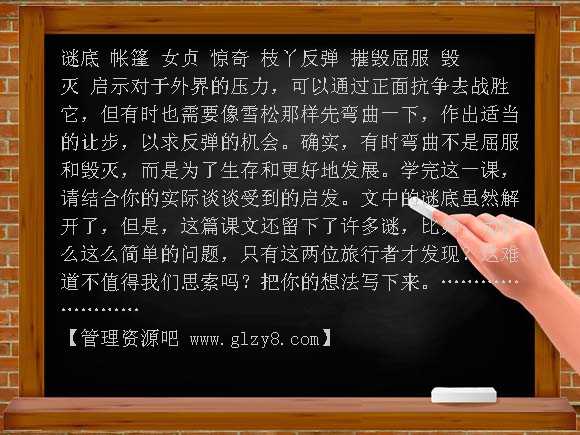 17山谷中的谜底PPT课件