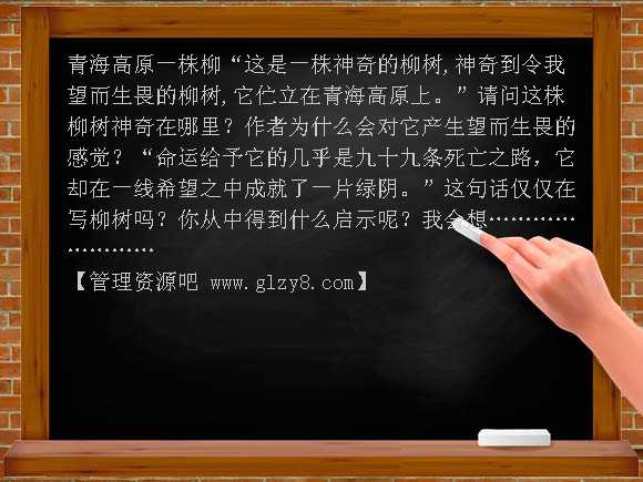 青海高原一株柳PPT课件