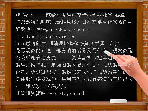 观舞记PPT课件