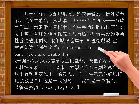 珍珠鸟 北师大版PPT课件
