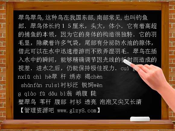 翠鸟PPT课件