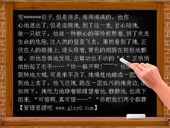 蚊子亦深情PPT课件