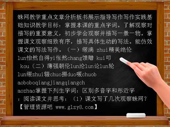 蛛网PPT课件