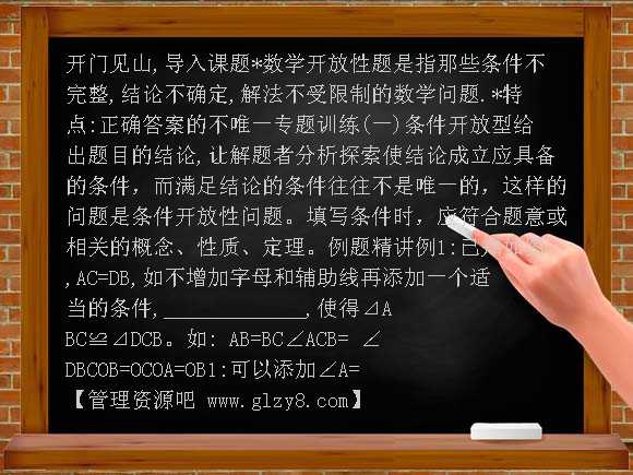 初中数学总复习专题训练-开放性问题研究PPT课件