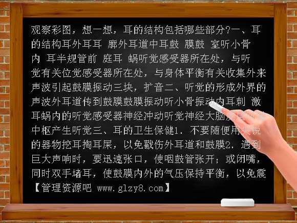 人的听觉PPT课件