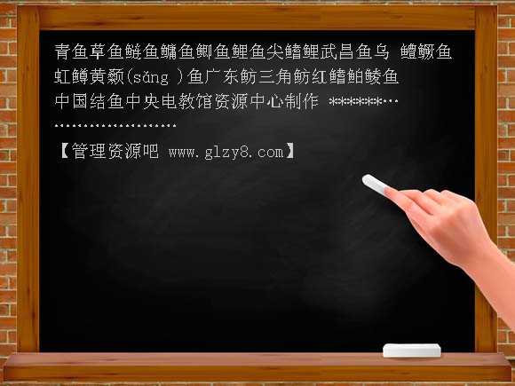 水中生活的动物2 PPT课件