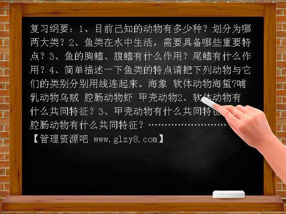 水中生活的动物PPT课件