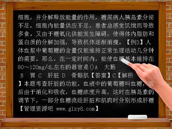 血糖的调节PPT课件