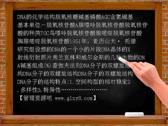 DNA的分子结构PPT课件