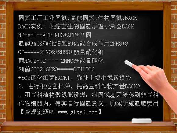 固氮PPT课件