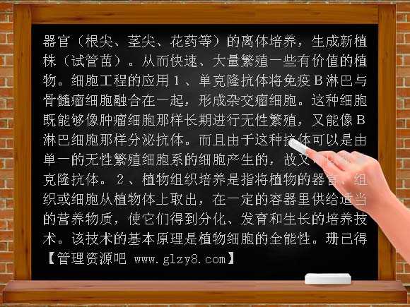 生物工程PPT课件