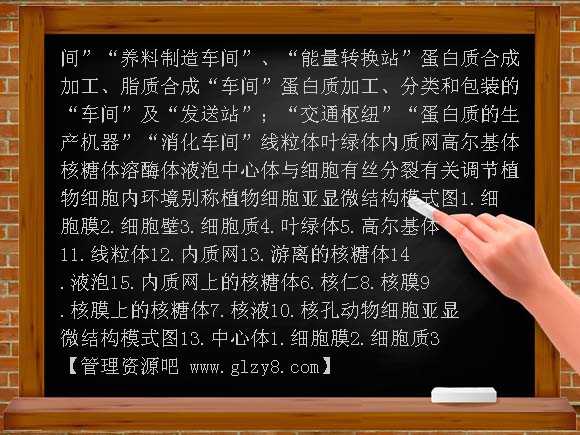 3-2细胞器—系统内的分工合作PPT课件