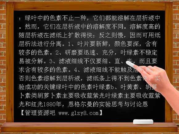 必修1捕获光能的色素和结构PPT课件