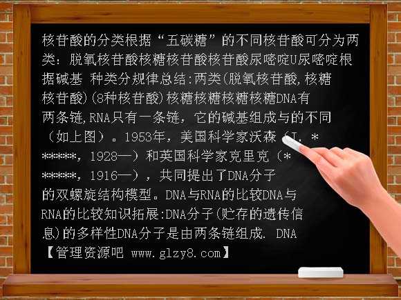 第3节遗传信息的携带者-核酸PPT课件
