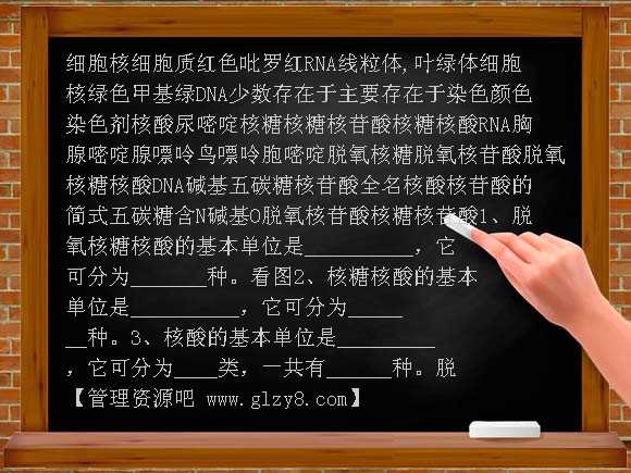 组成细胞的分子-第3节　遗传信息的携带者-核酸PPT课件