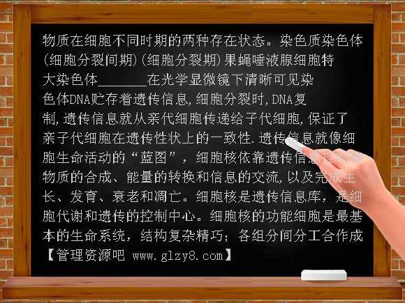 细胞器-系统内的分工合作PPT课件