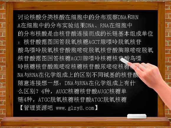 遗传信息的携带者-核酸课件