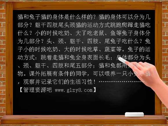 兔与猫（鄂教版）三年级上册PPT课件