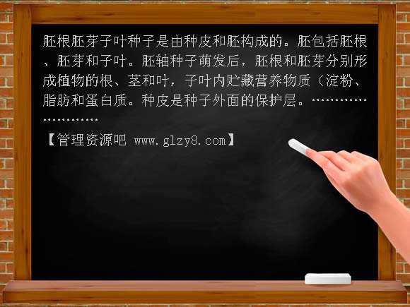 种子发芽（鄂教版四年级下册）PPT课件