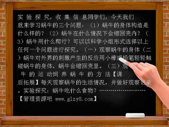 蜗牛（二）（教科版）三年级科学上册PPT课件