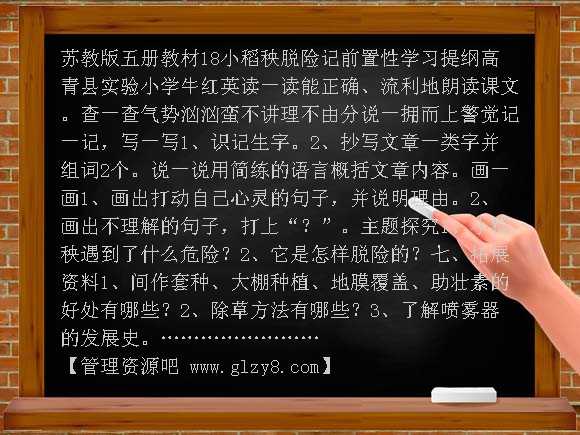 18小稻秧脱险记学习纲要教案