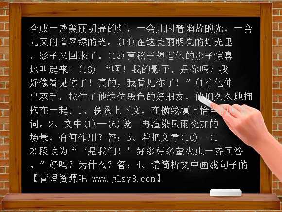 七年级上册《盲孩子和他的影子》学案教案