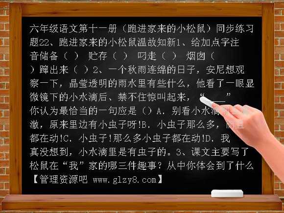 跑进家来的小松鼠练习题