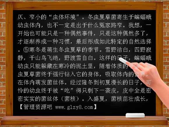 2010年莱芜市中考语文试卷及答案