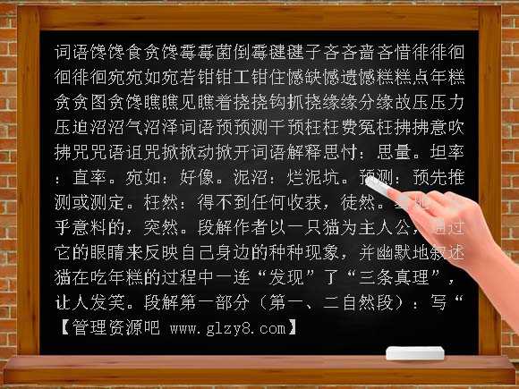 我是猫（语文S版）五年级上册PPT课件