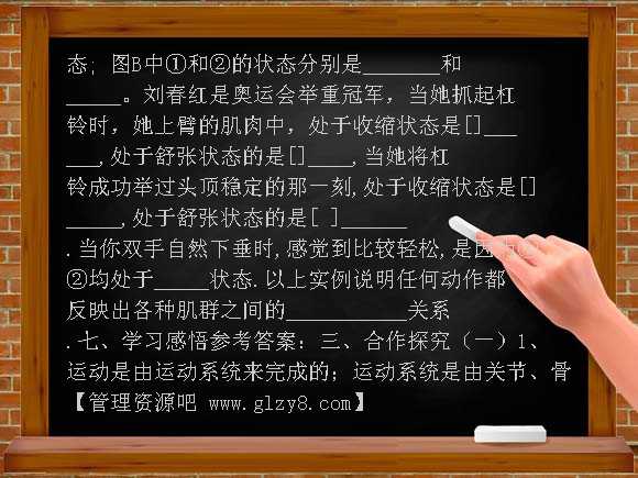 5-2-1 动物的运动学案教案