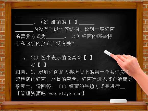 5-4-2细菌学案教案