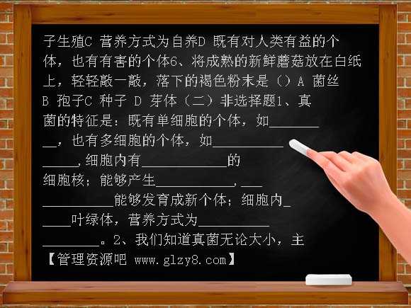 5-4-3真菌学案教案