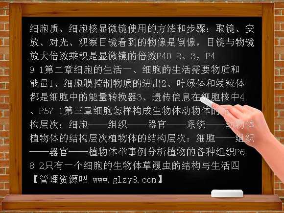 初一生物上册复习提纲教案