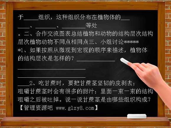 植物的结构层次导学案教案