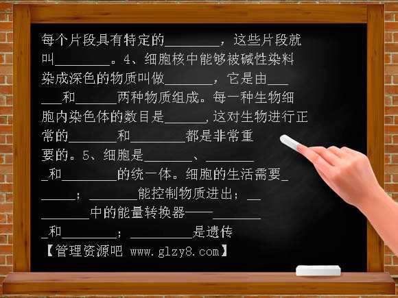 第二节细胞核是遗传信息库导学案教案