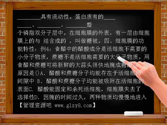 高中4-2生物膜的流动镶嵌模型学案及答案教案