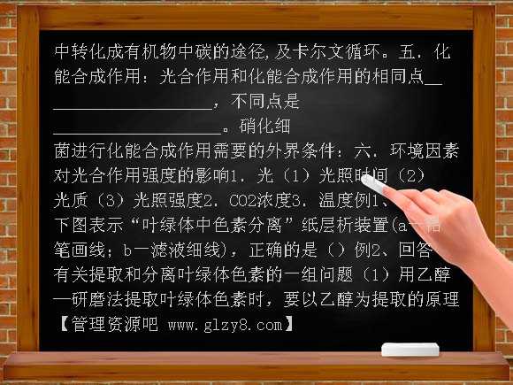 高中5-4能量之源——光与光合作用教学案及答案教案
