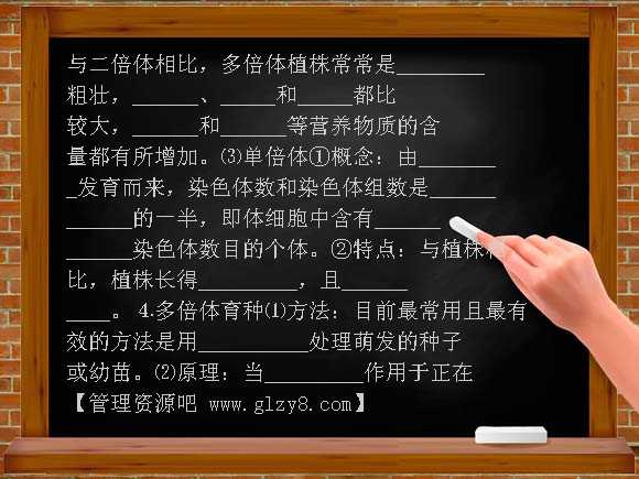 高中基因突变和基因重组 染色体变异复习学案教案