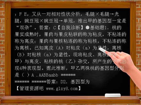 高中孟德尔豌豆杂交试验二学案教案