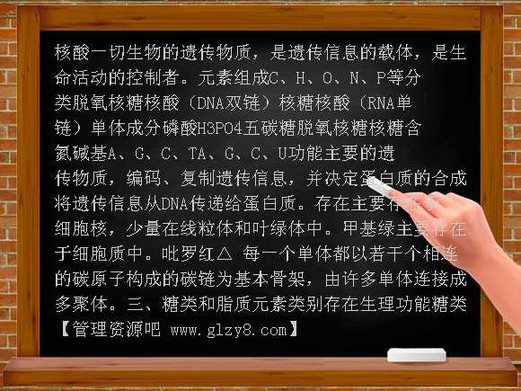 高中必修1分子与细胞知识结构教案