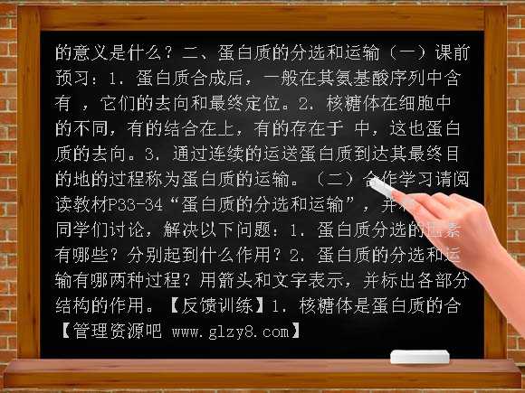 高中蛋白质的合成与运输学案设计教案