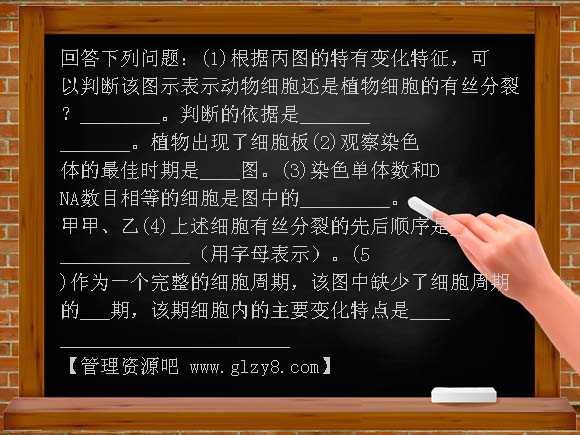 高三生物细胞增殖复习PPT课件